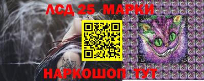 PSILOCYBIN Новозыбков