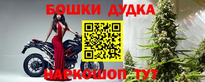 PSILOCYBIN Новозыбков
