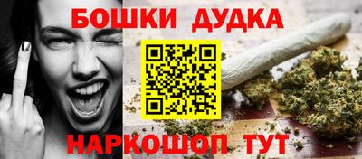 PSILOCYBIN Новозыбков
