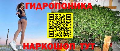 PSILOCYBIN Новозыбков