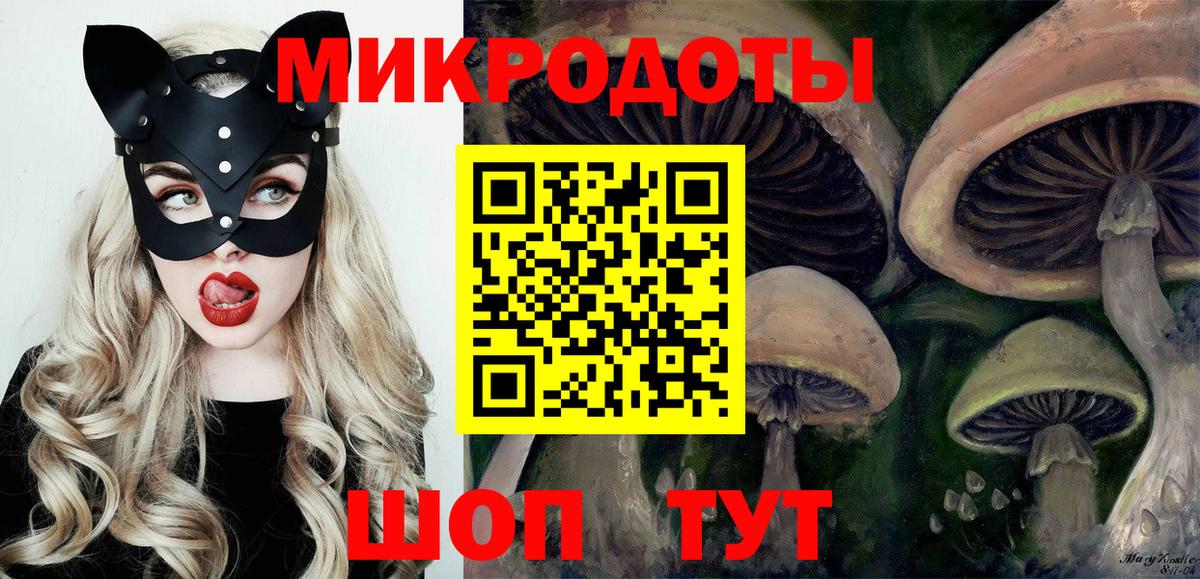 Псилоцибиновые грибы мухоморы Советская Гавань